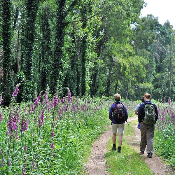 hike and yoga retreat